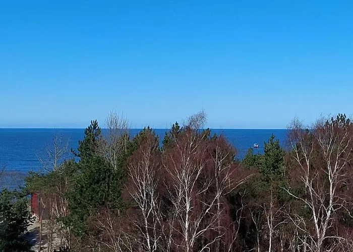 Jantar 75 M Od Plaży