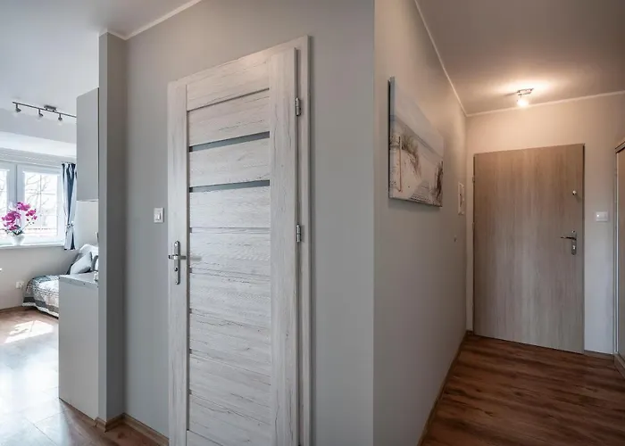 Jantar 75 M Od Plaży Rowy (Pomerania)